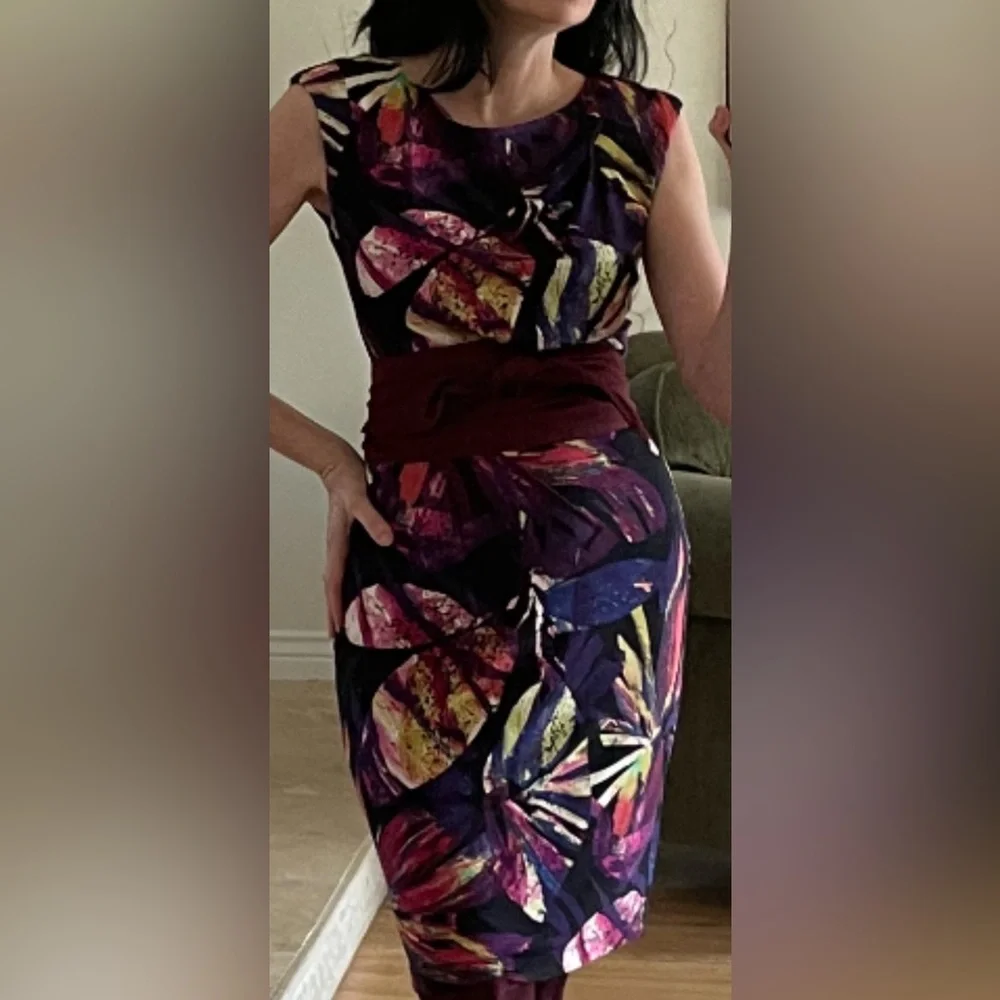 Suzy Chin For Maggie Boutique Stunning & Colorful Foliate Print Dress Sz…